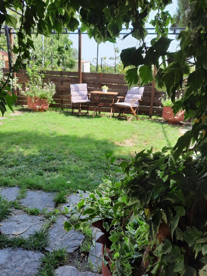 Theodoras House Guest House Nea Iraklitsa Exterior photo
