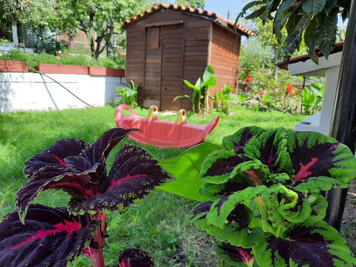 Theodoras House Guest House Nea Iraklitsa Exterior photo