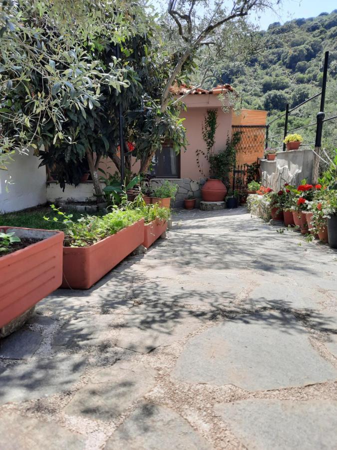 Theodoras House Guest House Nea Iraklitsa Exterior photo